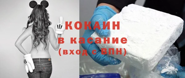 индика Бутурлиновка