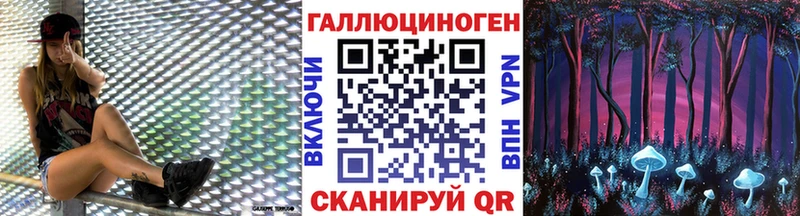 Псилоцибиновые грибы Psilocybine cubensis  Макушино 